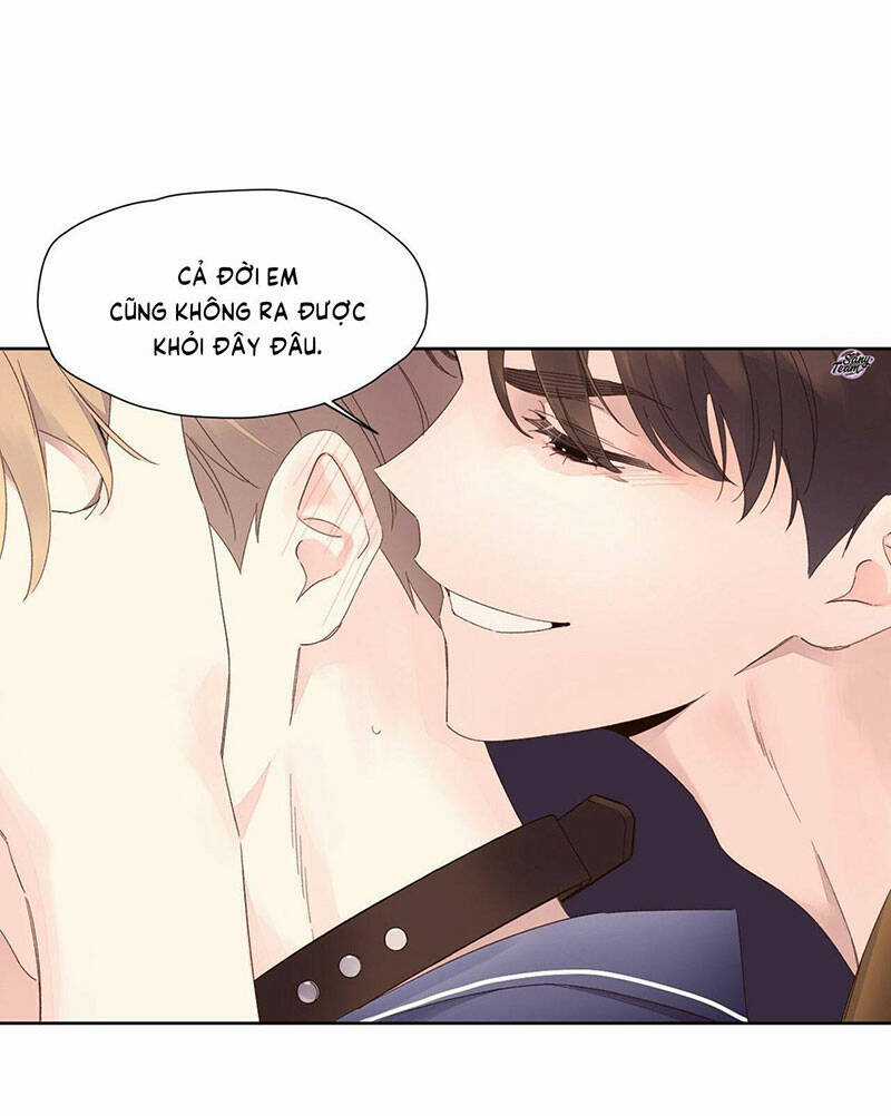 Tình Nhân 4 Tuần Chapter 71 trang 47