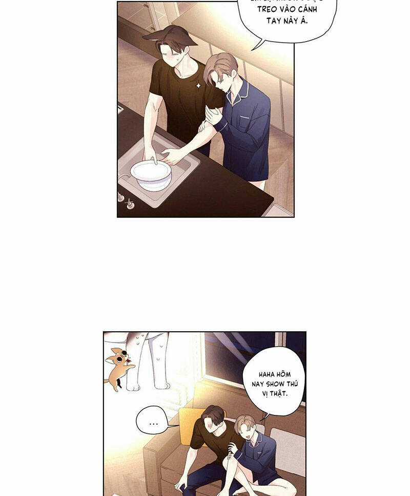 Tình Nhân 4 Tuần Chapter 71 trang 7