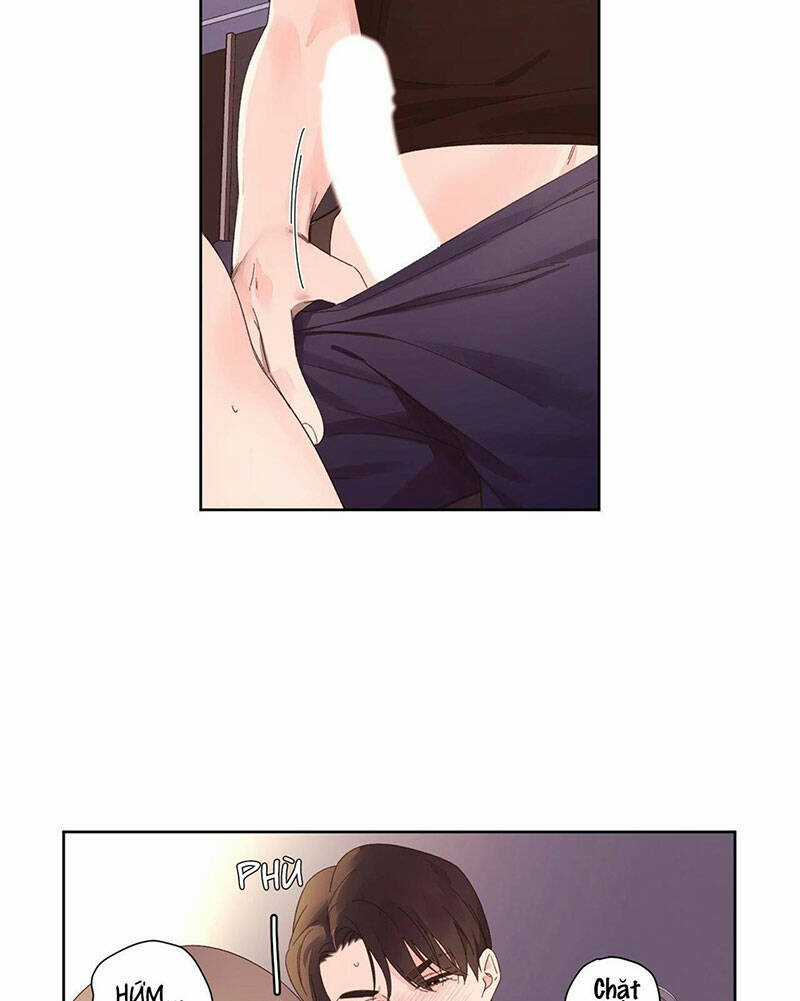 Tình Nhân 4 Tuần Chapter 72 trang 15