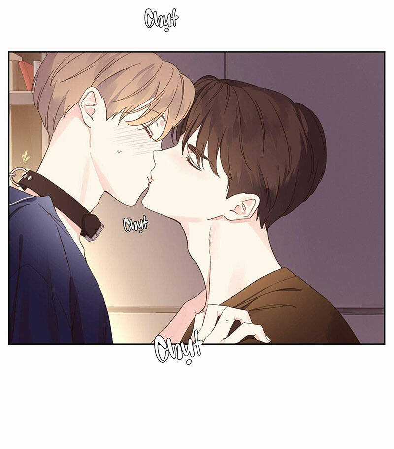 Tình Nhân 4 Tuần Chapter 72 trang 2