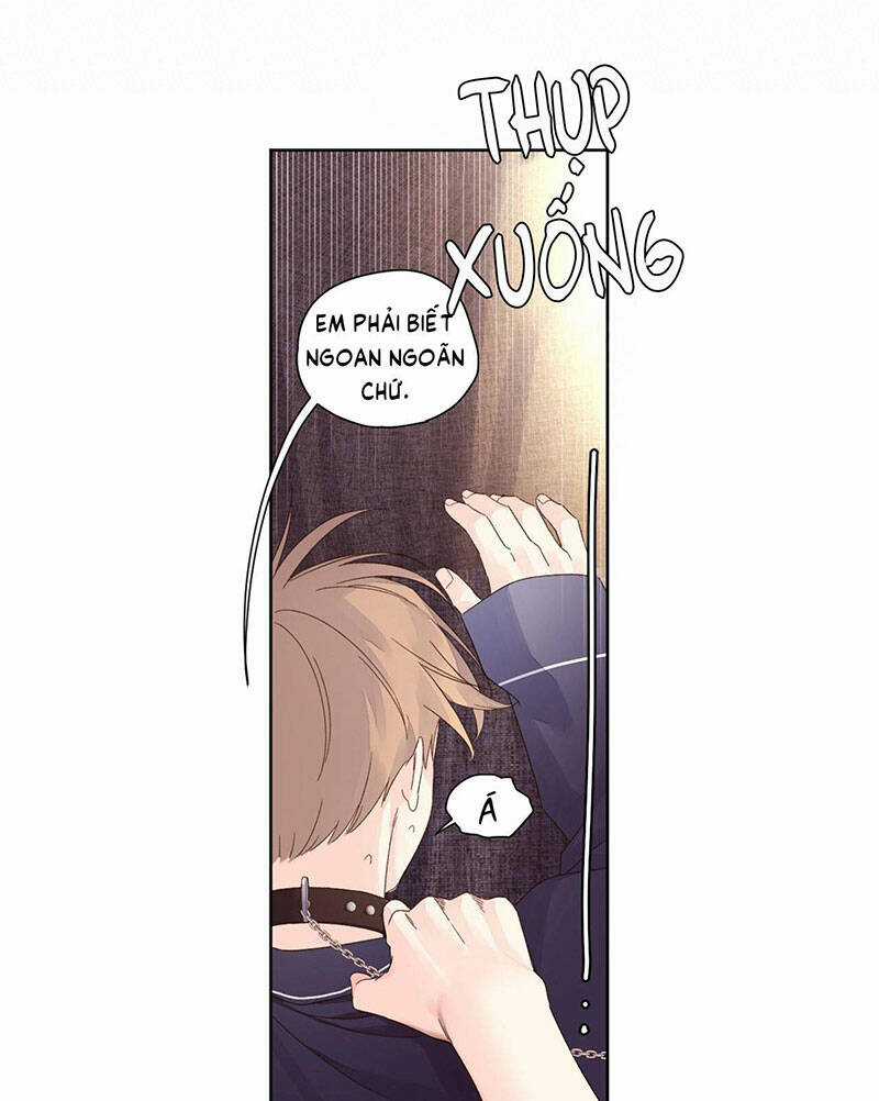 Tình Nhân 4 Tuần Chapter 72 trang 22