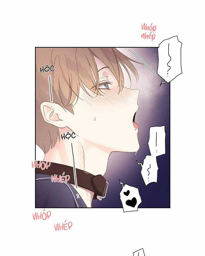 Tình Nhân 4 Tuần Chapter 72 trang 30