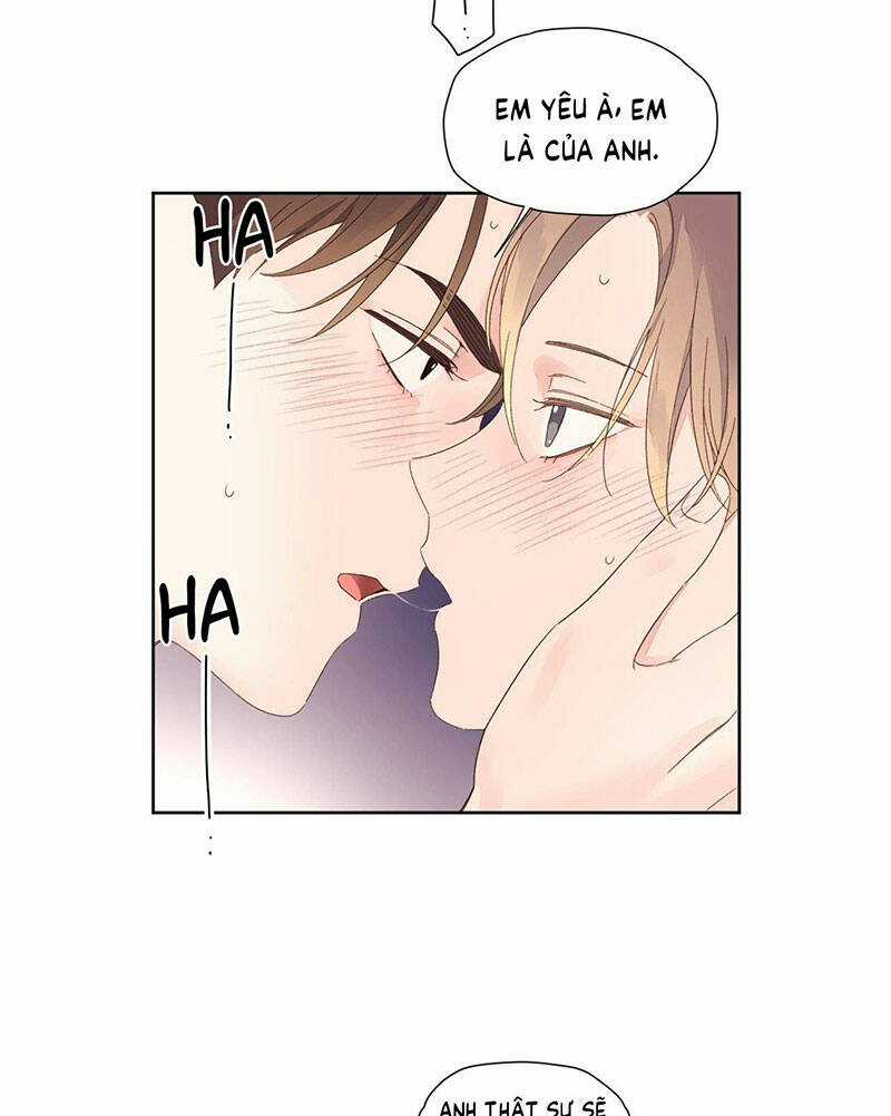 Tình Nhân 4 Tuần Chapter 72 trang 38