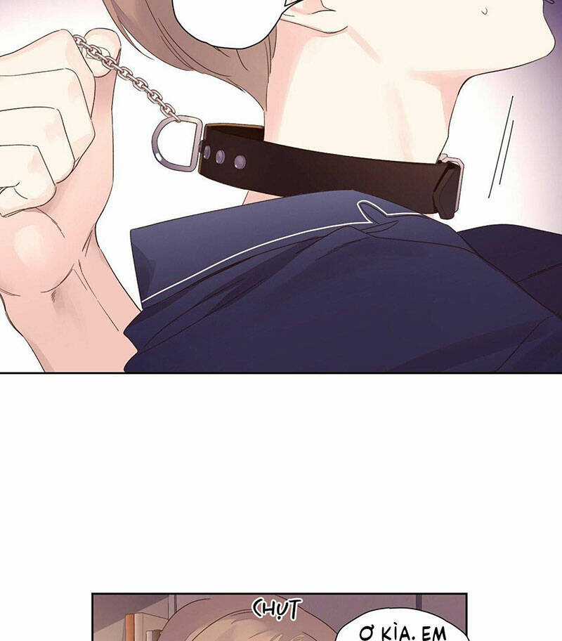 Tình Nhân 4 Tuần Chapter 72 trang 4