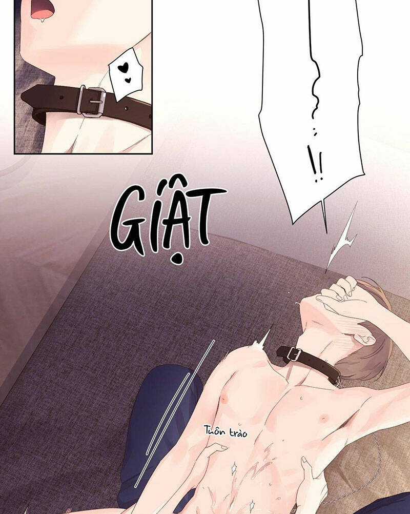 Tình Nhân 4 Tuần Chapter 72 trang 46