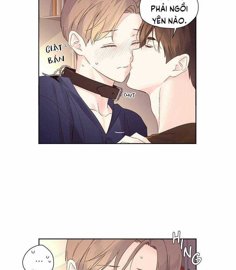 Tình Nhân 4 Tuần Chapter 72 trang 5