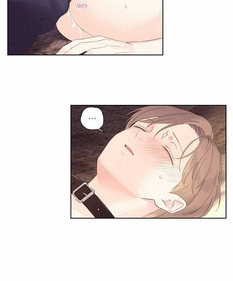 Tình Nhân 4 Tuần Chapter 72 trang 50