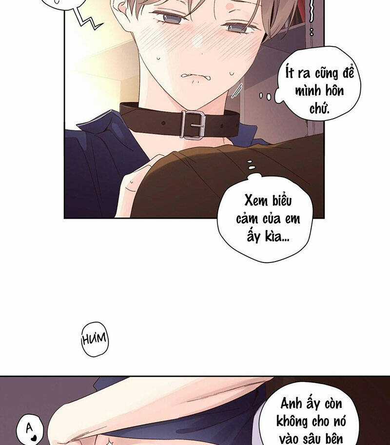 Tình Nhân 4 Tuần Chapter 72 trang 6