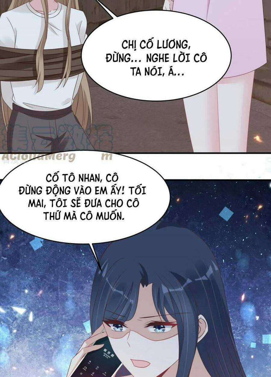 Tinh Quang Lộng Lẫy: Chọn Sếp Làm Chồng Chapter 127 trang 8