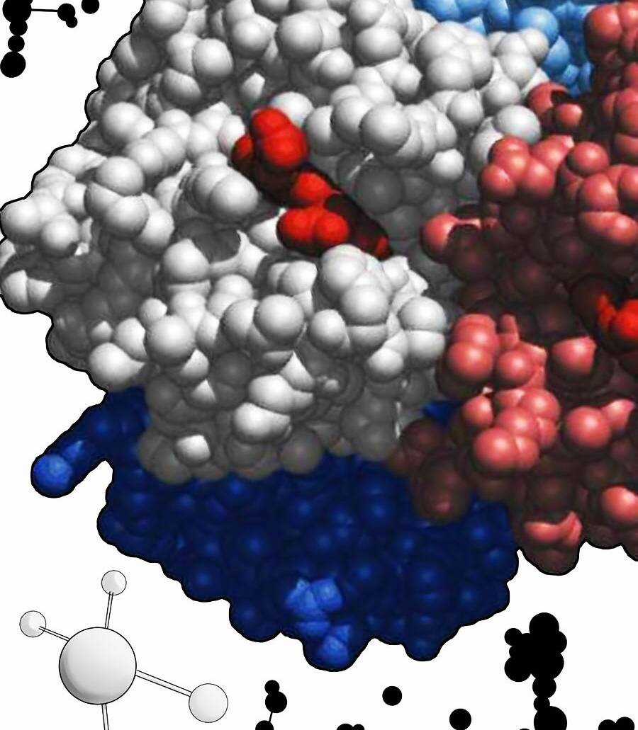 Tinh Thần Đại Hải Của Học Bá Chapter 18 trang 11