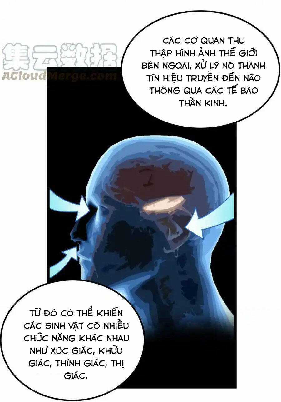 Tinh Thần Đại Hải Của Học Bá Chapter 191 trang 19