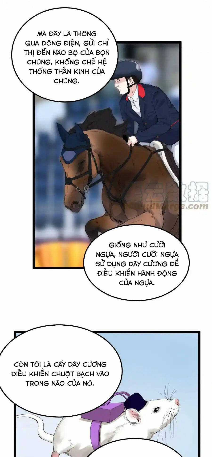 Tinh Thần Đại Hải Của Học Bá Chapter 191 trang 31