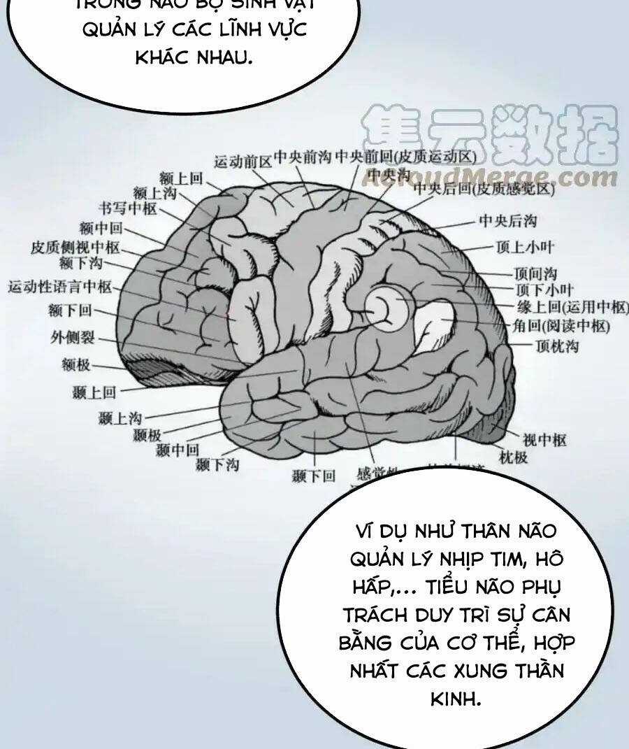 Tinh Thần Đại Hải Của Học Bá Chapter 192 trang 3