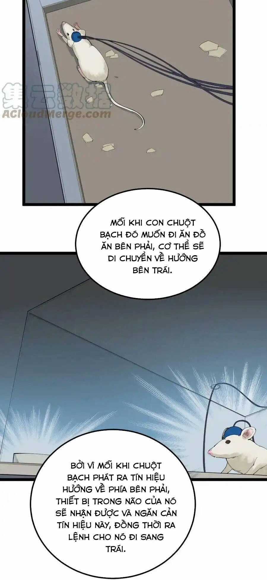 Tinh Thần Đại Hải Của Học Bá Chapter 192 trang 6