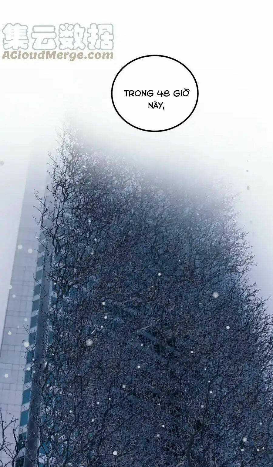 Tinh Thần Đại Hải Của Học Bá Chapter 217 trang 12