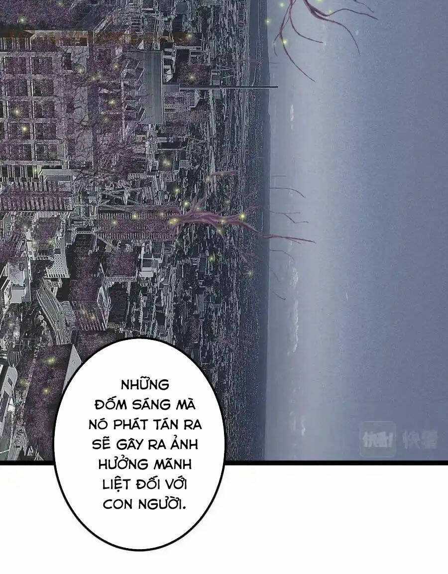 Tinh Thần Đại Hải Của Học Bá Chapter 218 trang 5