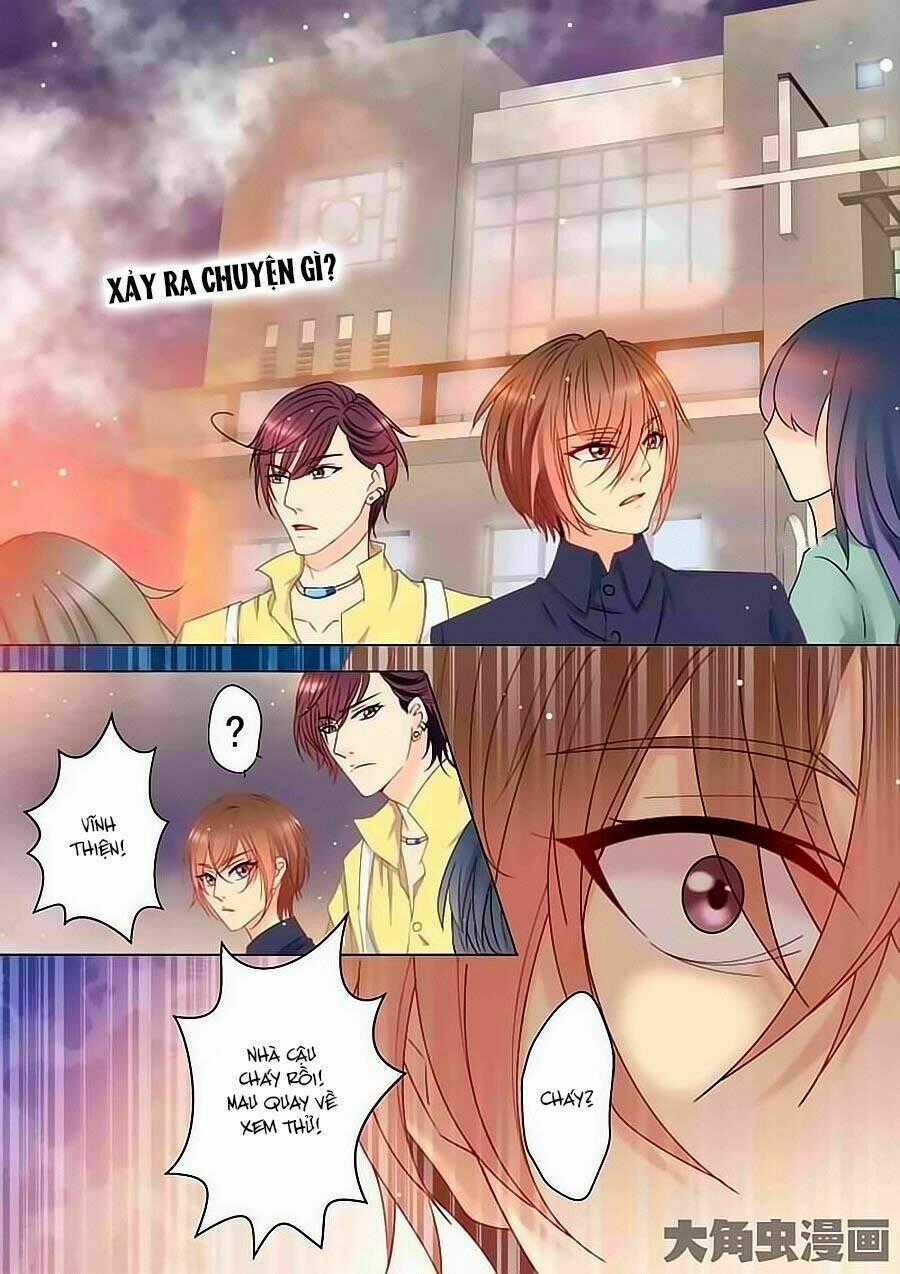 Tinh Tinh Bất Thị Phát Quang Thể Chapter 1 trang 7