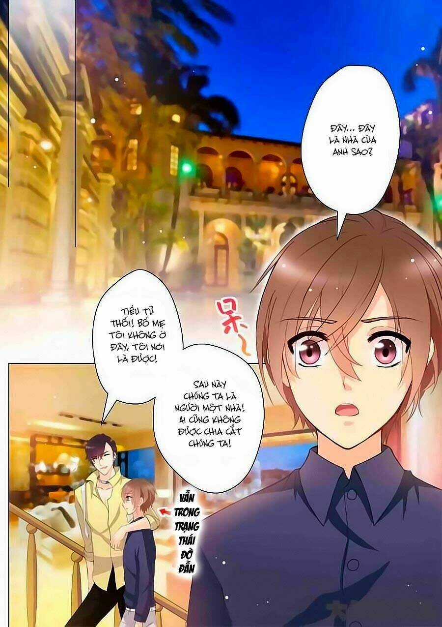 Tinh Tinh Bất Thị Phát Quang Thể Chapter 4 trang 4