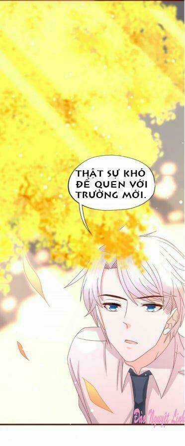 Tình Yêu Bốn Mùa Chapter 17 trang 21