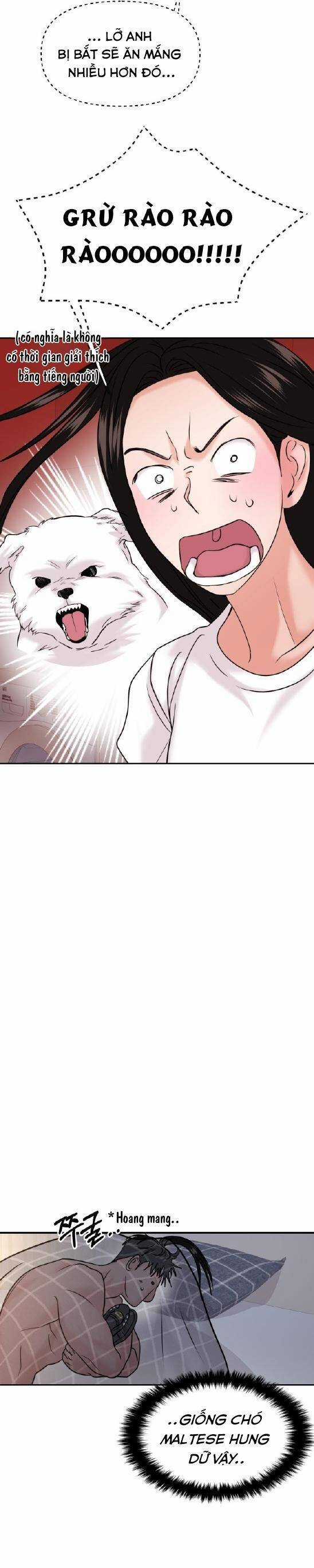 Tình Yêu Cấp 4 Chapter 48 trang 17