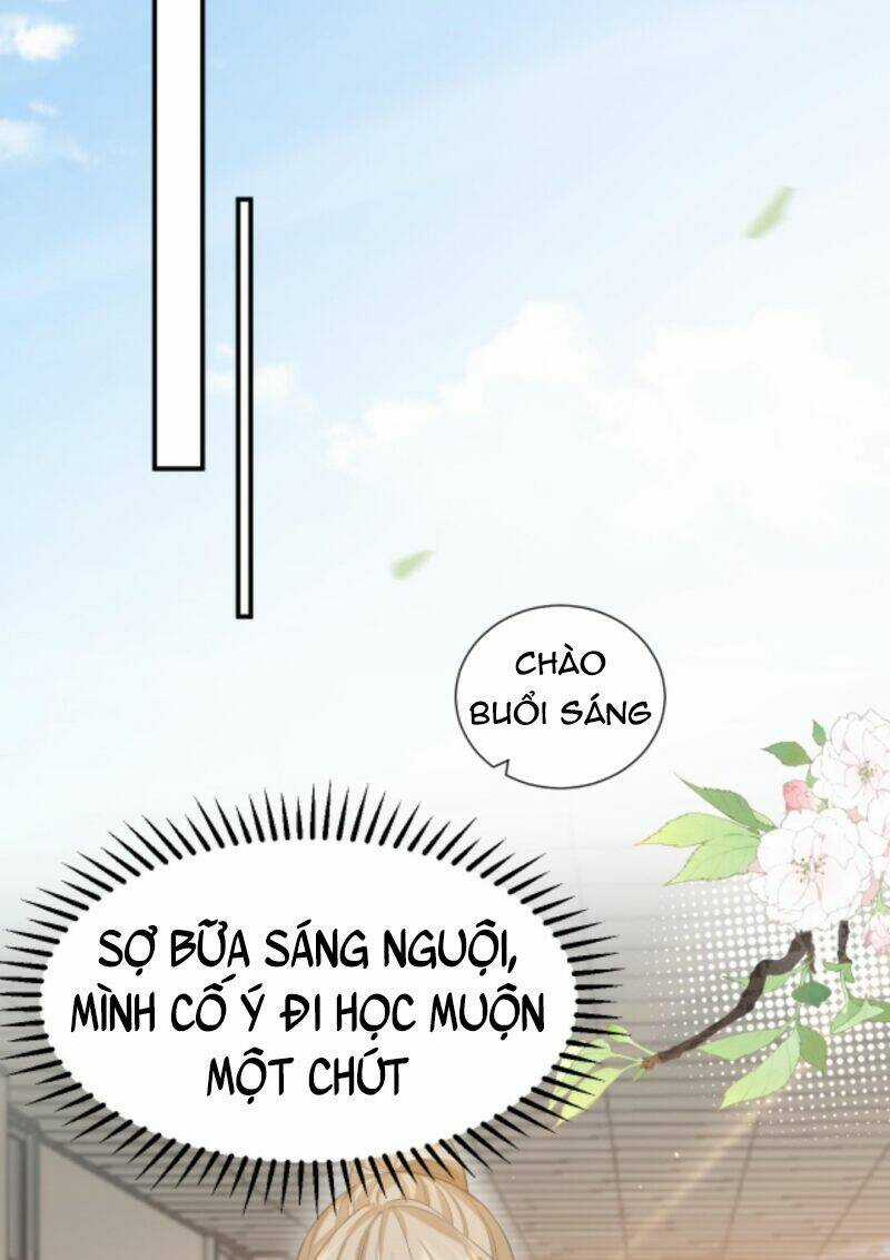 Tình Yêu Cháy Bỏng Chapter 13 trang 5