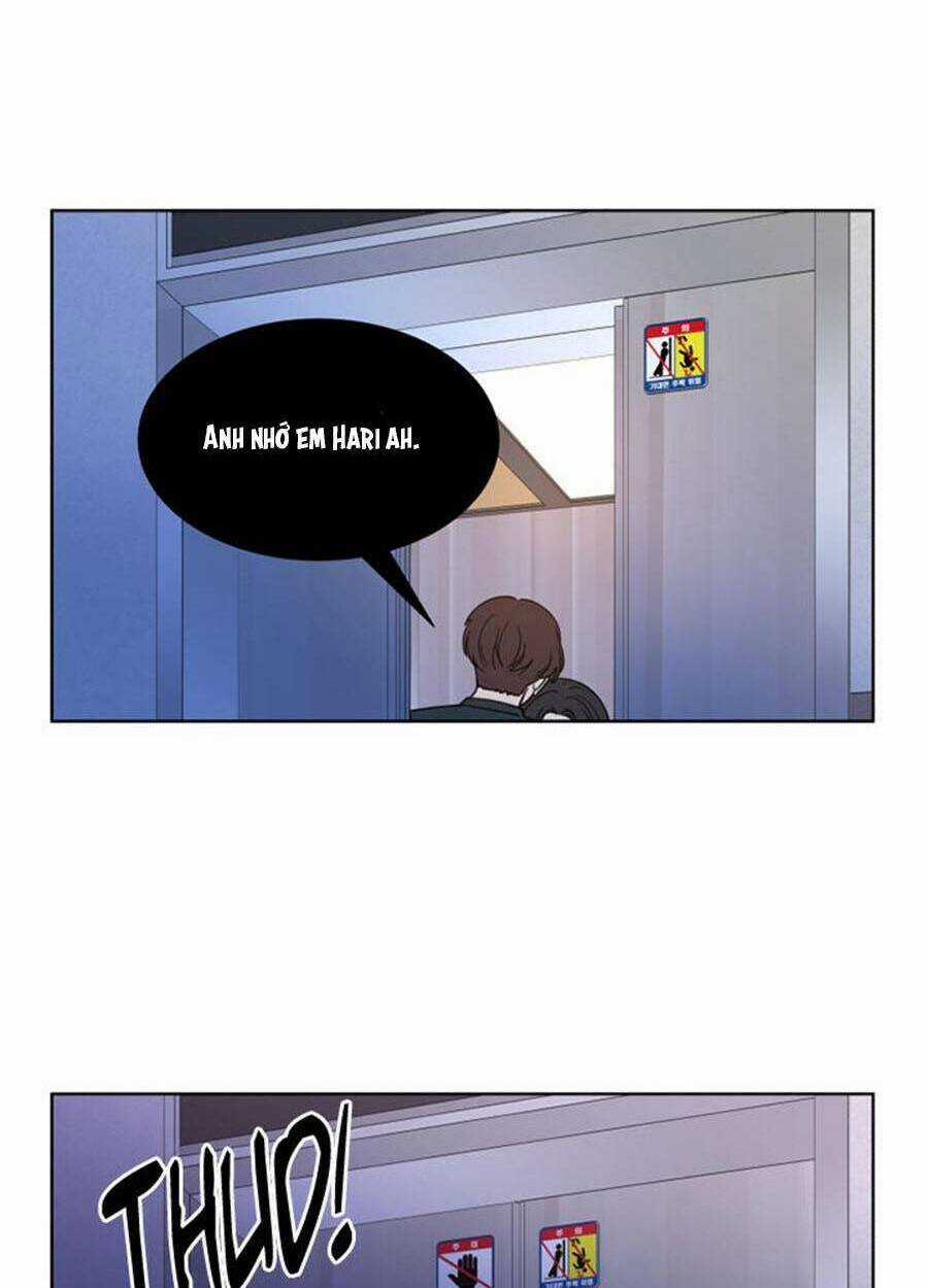 Tình Yêu Chỉ Mình Em Biết Chapter 14 trang 42