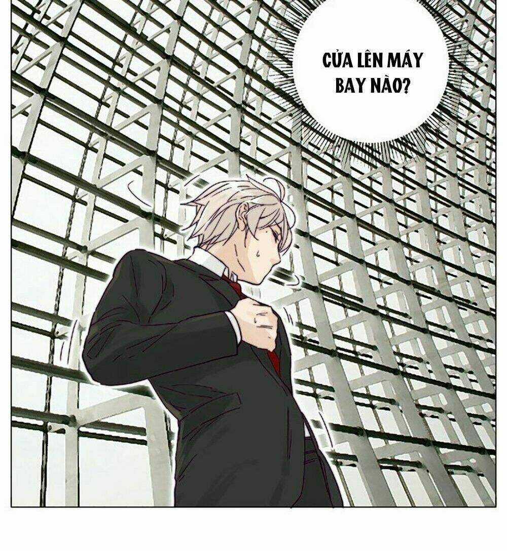 Tình Yêu Chớp Nhoáng Chapter 97 trang 11