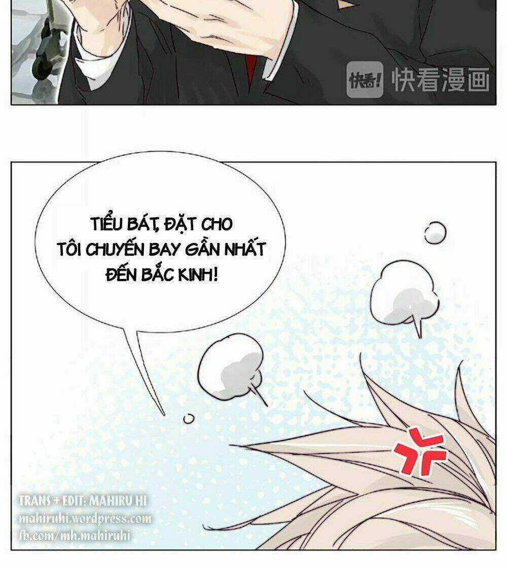 Tình Yêu Chớp Nhoáng Chapter 98 trang 3