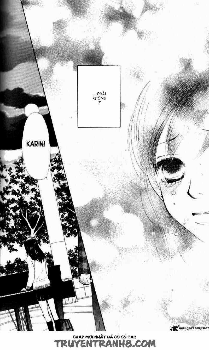 Tình Yêu Đích Thực Chapter 35 trang 12