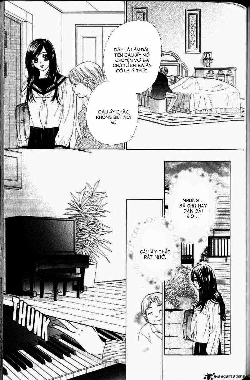 Tình Yêu Đích Thực Chapter 51 trang 4