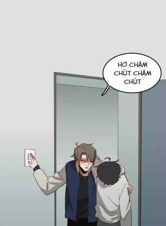 Tình Yêu Dưới Mái Hiên Chapter 58 trang 11