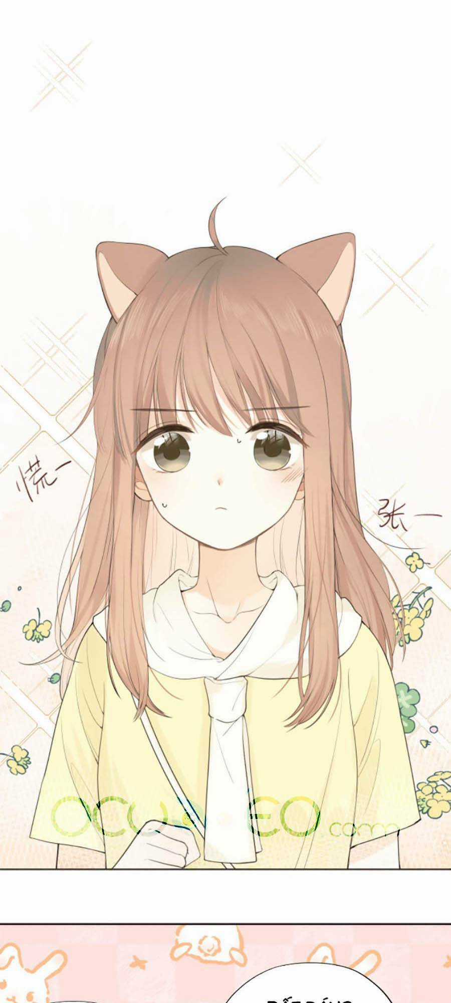 Tình Yêu Duy Nhất Của Tôi Chapter 12 trang 0