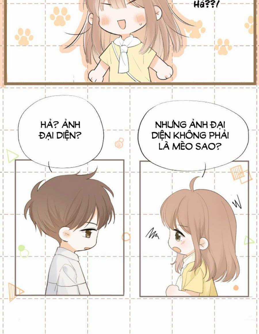 Tình Yêu Duy Nhất Của Tôi Chapter 12 trang 13