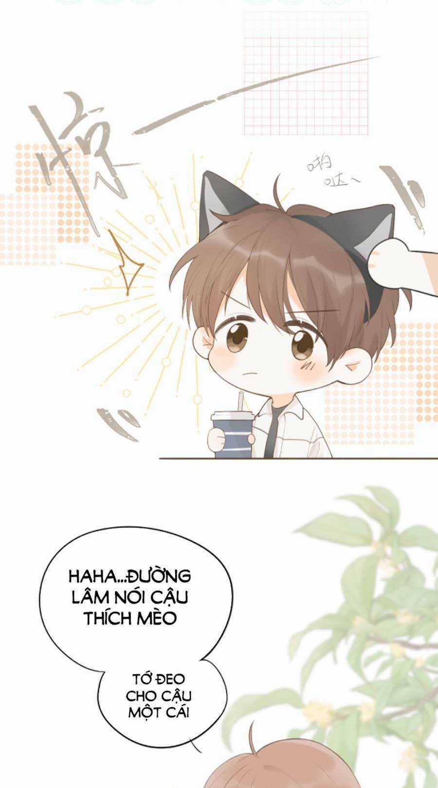 Tình Yêu Duy Nhất Của Tôi Chapter 12 trang 8