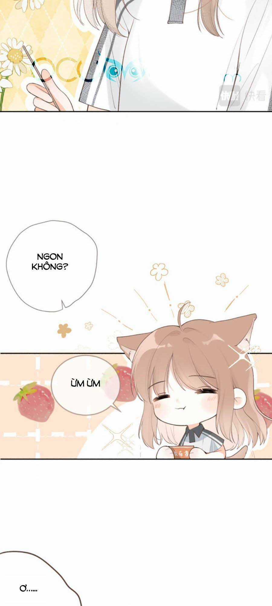 Tình Yêu Duy Nhất Của Tôi Chapter 16 trang 1