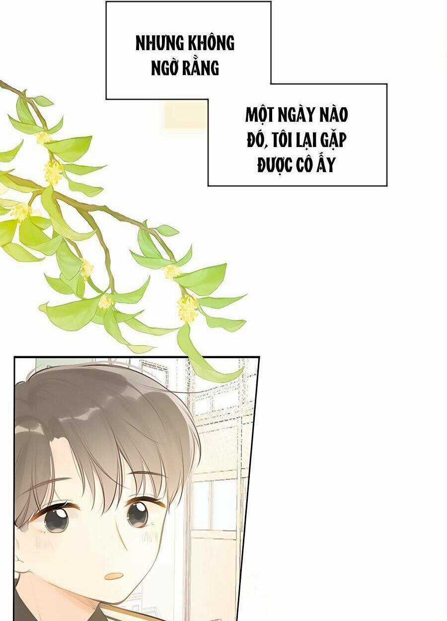 Tình Yêu Duy Nhất Của Tôi Chapter 32 trang 13