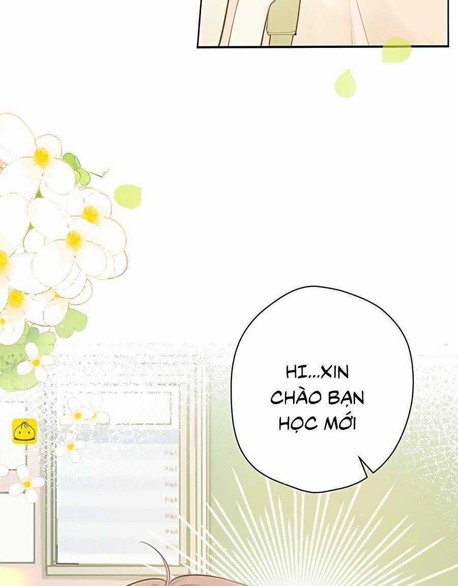 Tình Yêu Duy Nhất Của Tôi Chapter 32 trang 15
