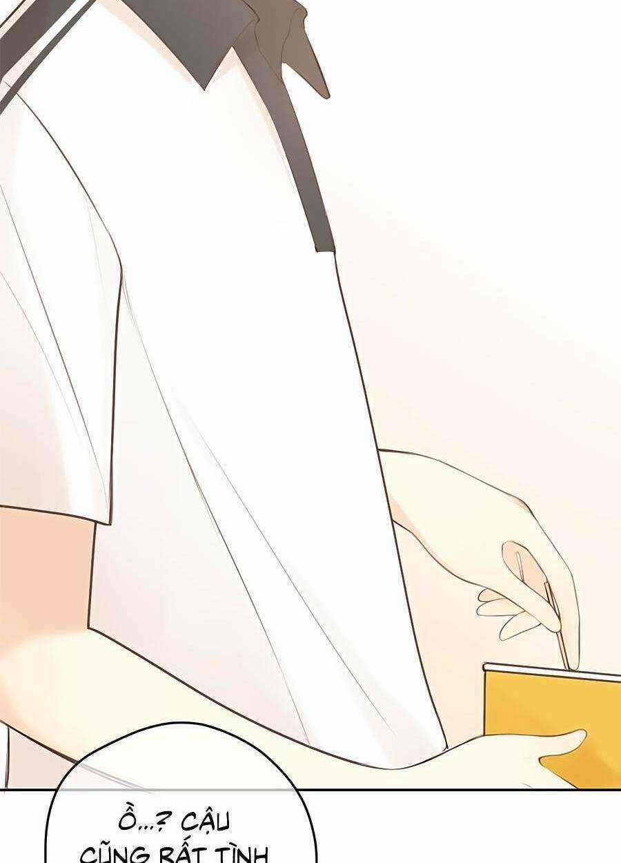 Tình Yêu Duy Nhất Của Tôi Chapter 32 trang 29