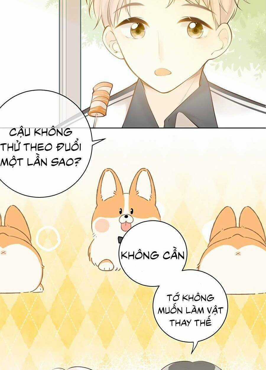 Tình Yêu Duy Nhất Của Tôi Chapter 32 trang 33