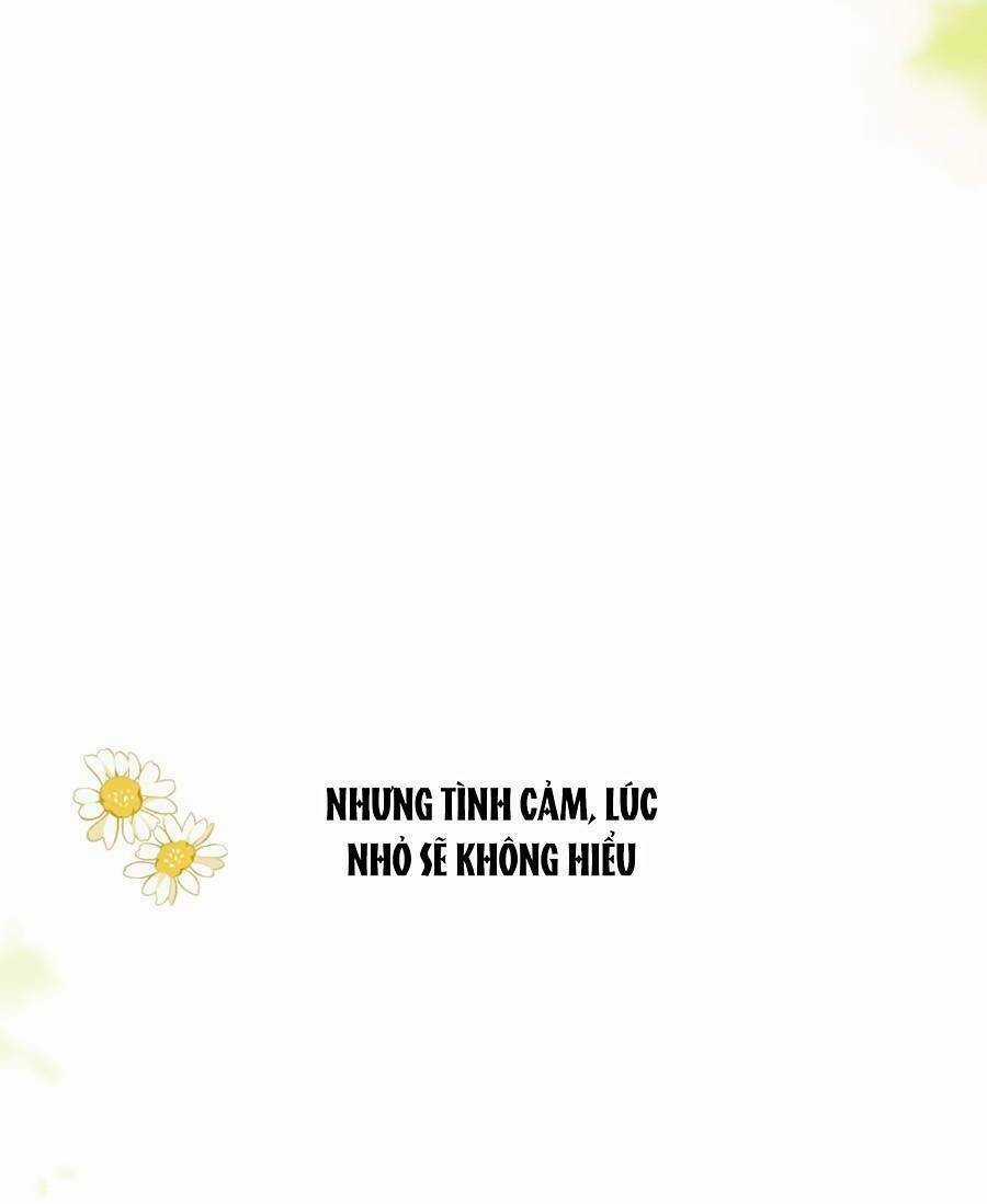 Tình Yêu Duy Nhất Của Tôi Chapter 32 trang 39