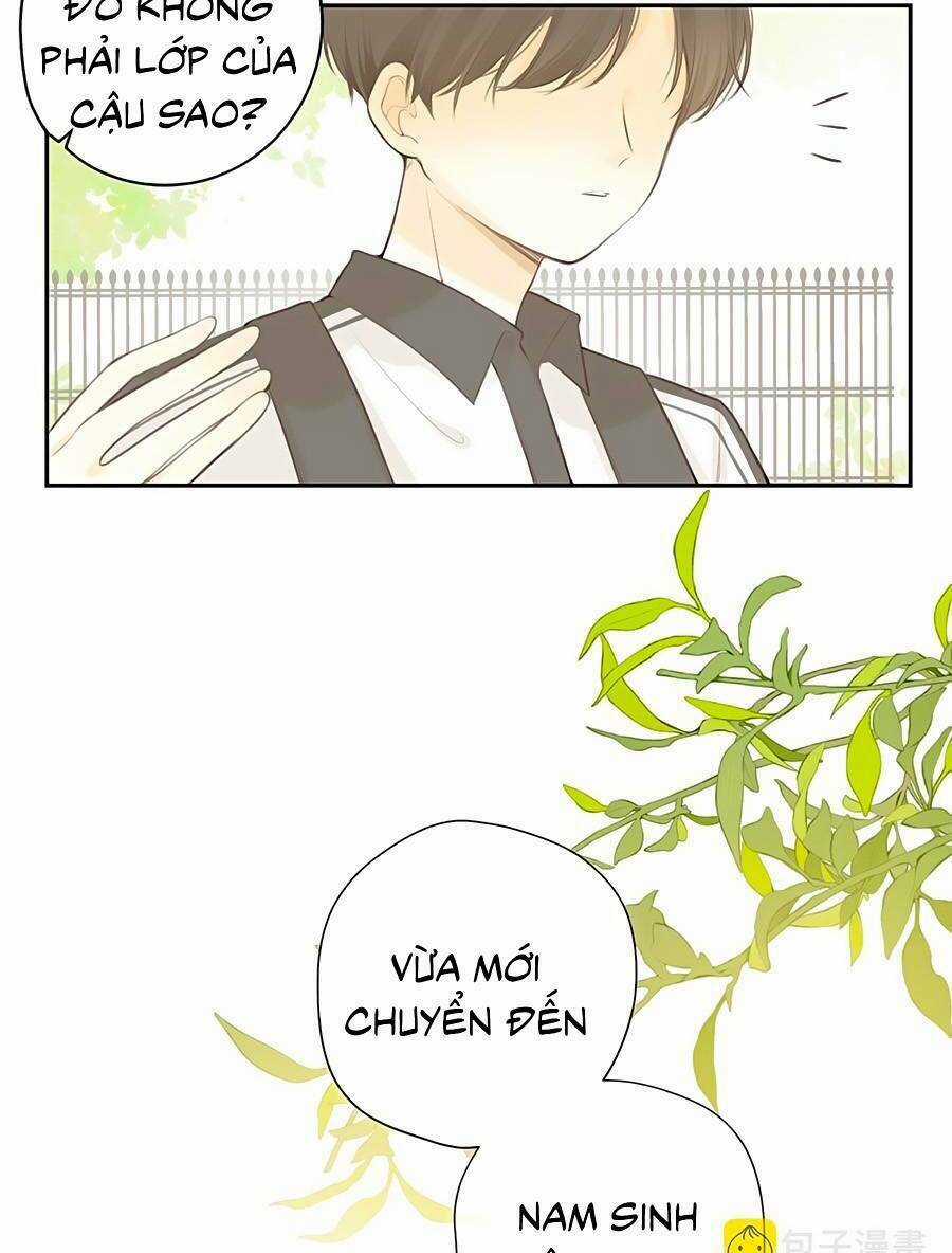 Tình Yêu Duy Nhất Của Tôi Chapter 32 trang 45