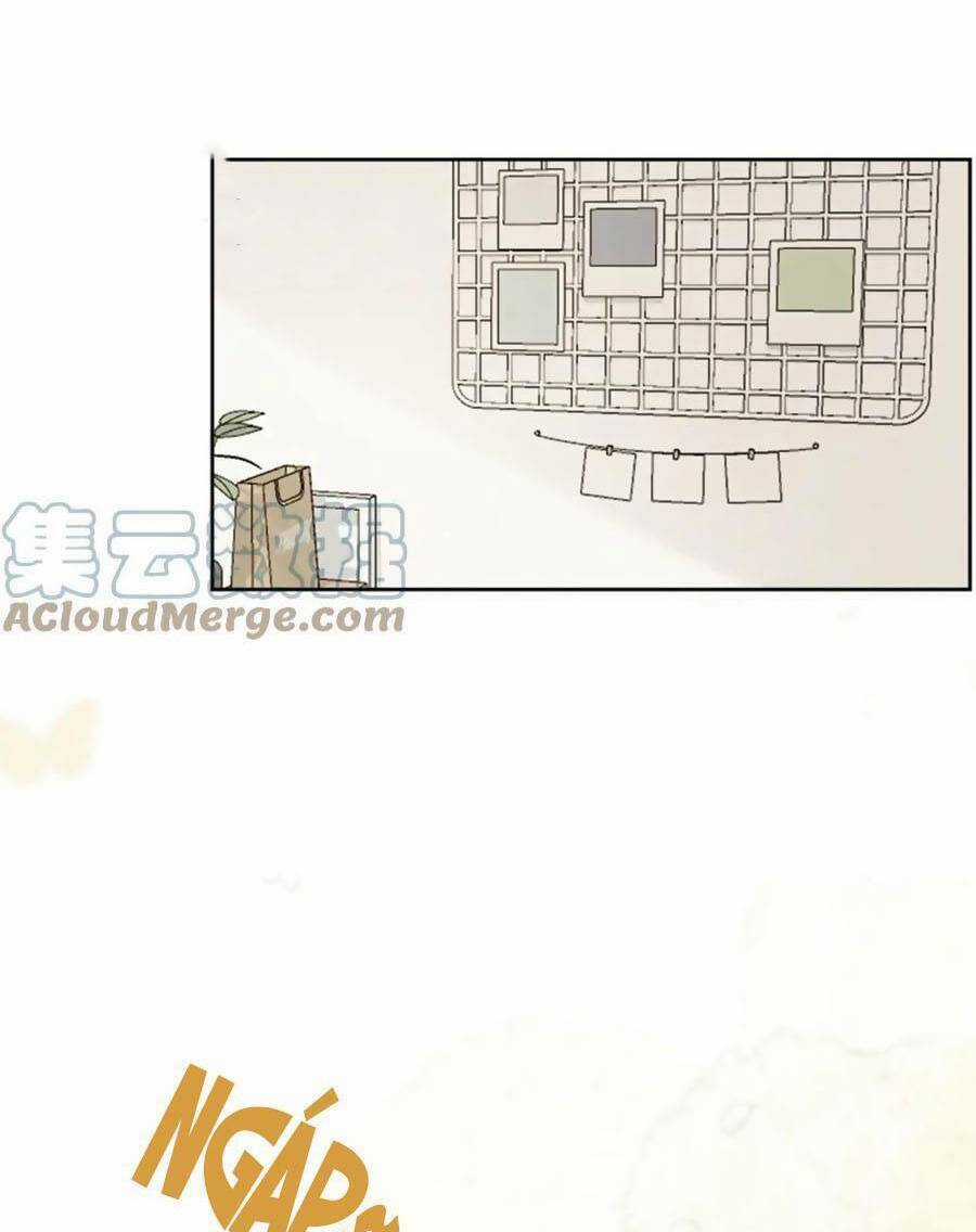 Tình Yêu Duy Nhất Của Tôi Chapter 40 trang 18