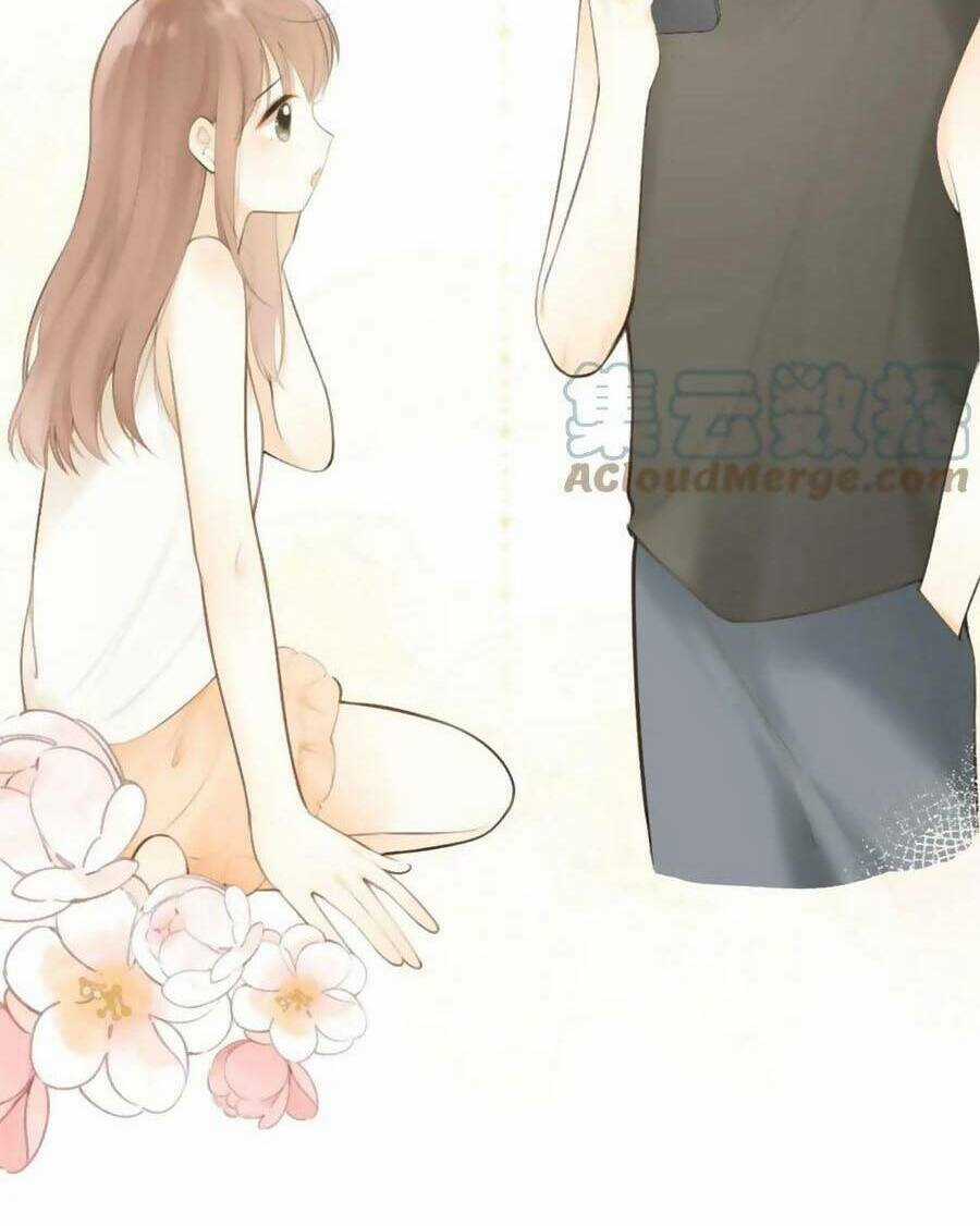 Tình Yêu Duy Nhất Của Tôi Chapter 40 trang 41
