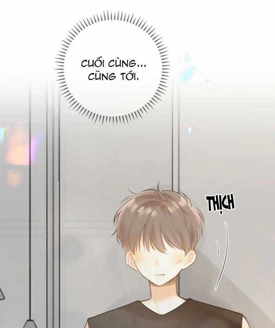 Tình Yêu Duy Nhất Của Tôi Chapter 40 trang 50