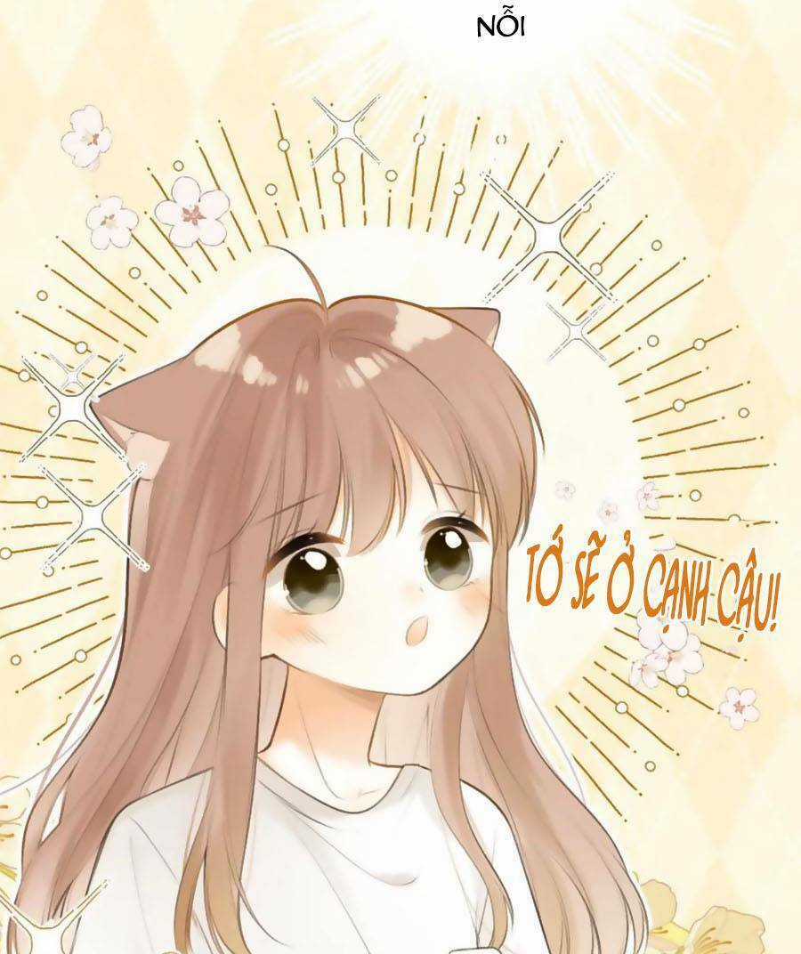 Tình Yêu Duy Nhất Của Tôi Chapter 40 trang 53