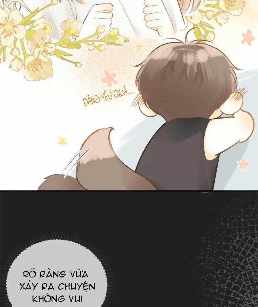 Tình Yêu Duy Nhất Của Tôi Chapter 40 trang 54