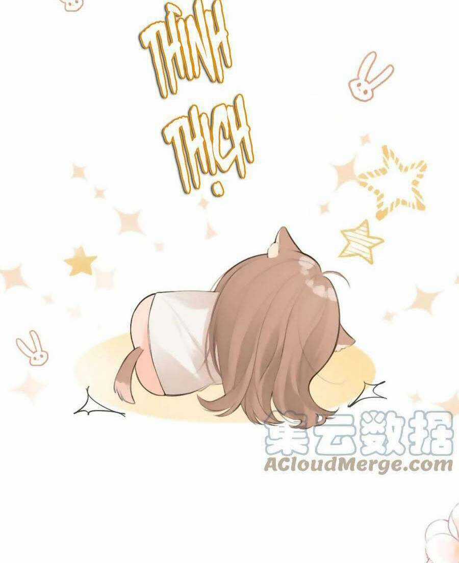 Tình Yêu Duy Nhất Của Tôi Chapter 40 trang 59