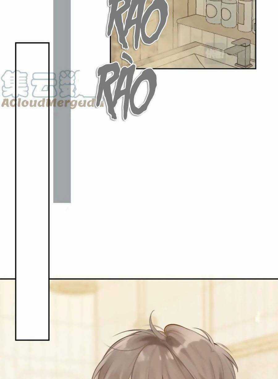 Tình Yêu Duy Nhất Của Tôi Chapter 40 trang 7