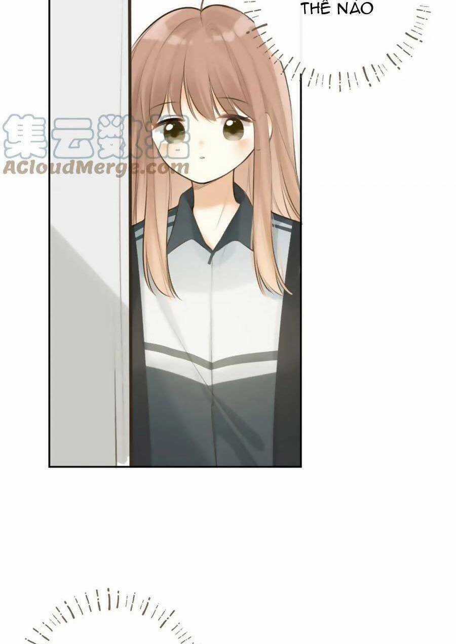 Tình Yêu Duy Nhất Của Tôi Chapter 41 trang 14