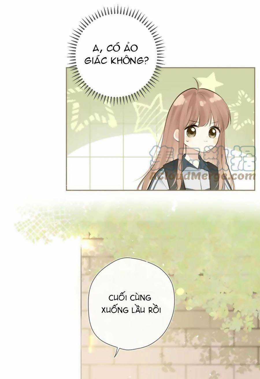Tình Yêu Duy Nhất Của Tôi Chapter 41 trang 16